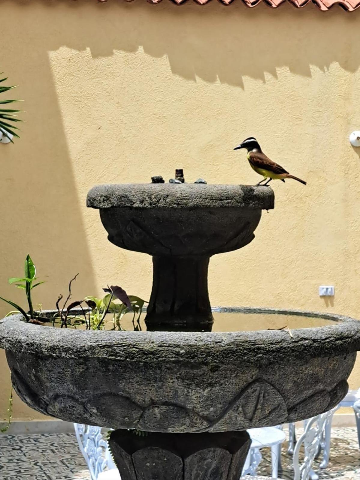 Casa Sileo - Boutique Hotel Cali Εξωτερικό φωτογραφία