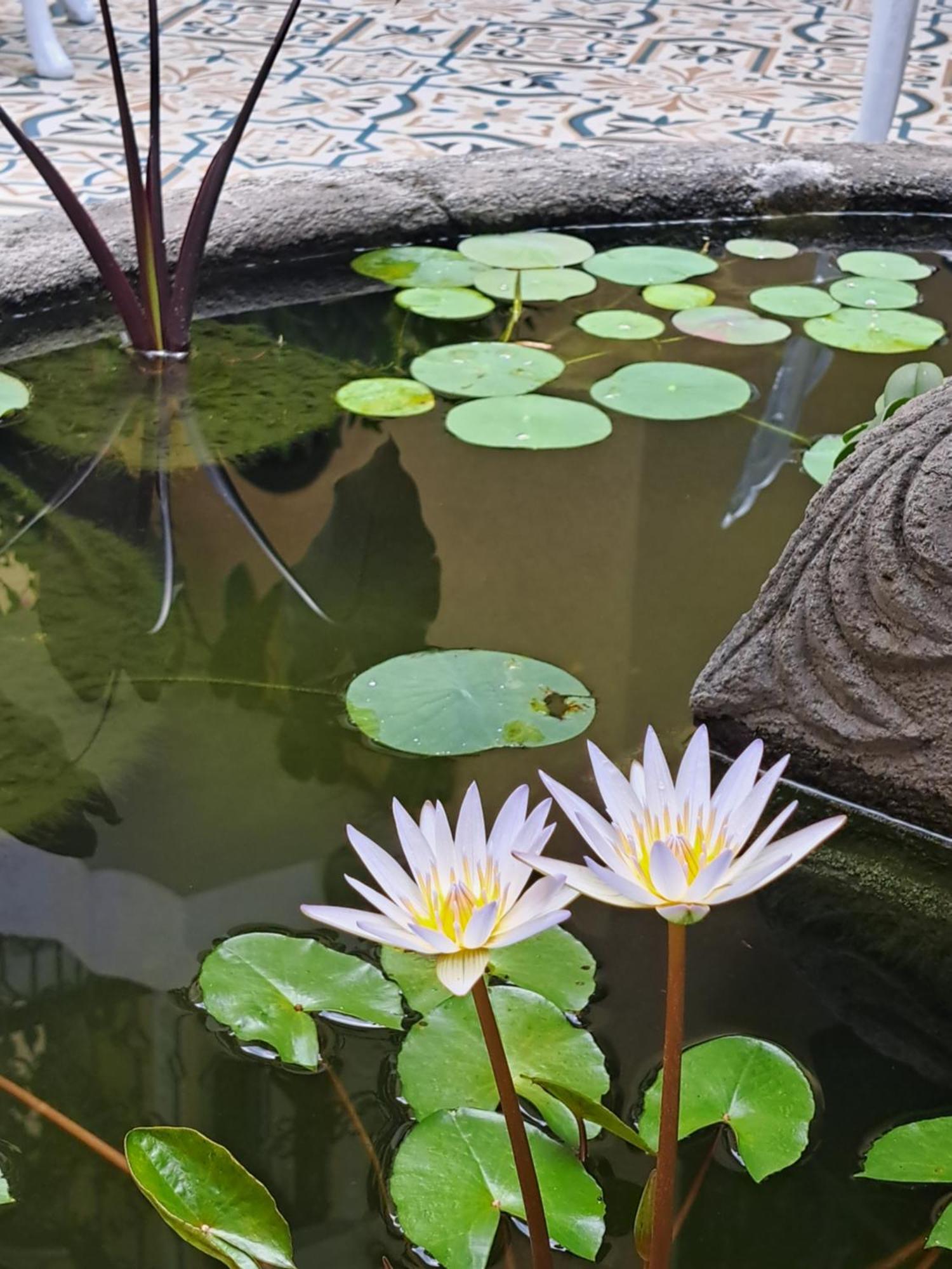 Casa Sileo - Boutique Hotel Cali Εξωτερικό φωτογραφία